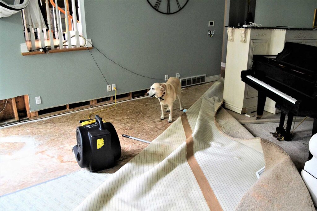 The-difference-between-water-extraction-and-water-damage-restoration