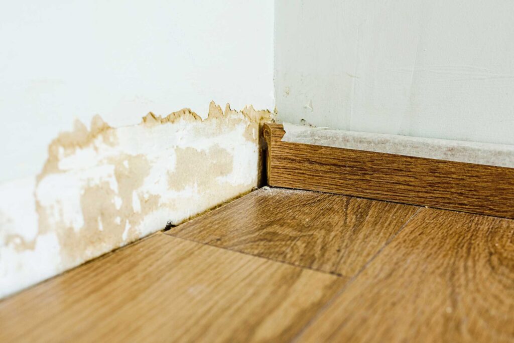 The signs of water damage you shouldn't ignore in El Paso"