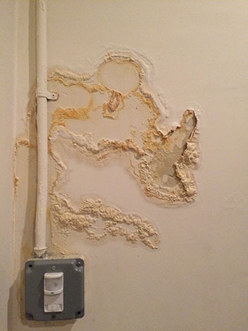 The-signs-of-water-damage-you-shouldnt-ignore